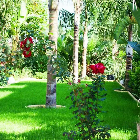 You And Your Family Will Love This 5 Star With Private Pool & Hot Tub, Protaras 1511 Willa